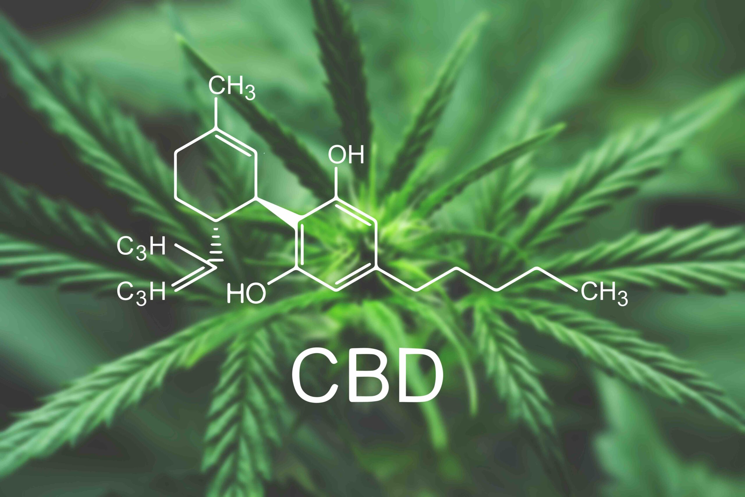 How Long Does CBD Take To Work