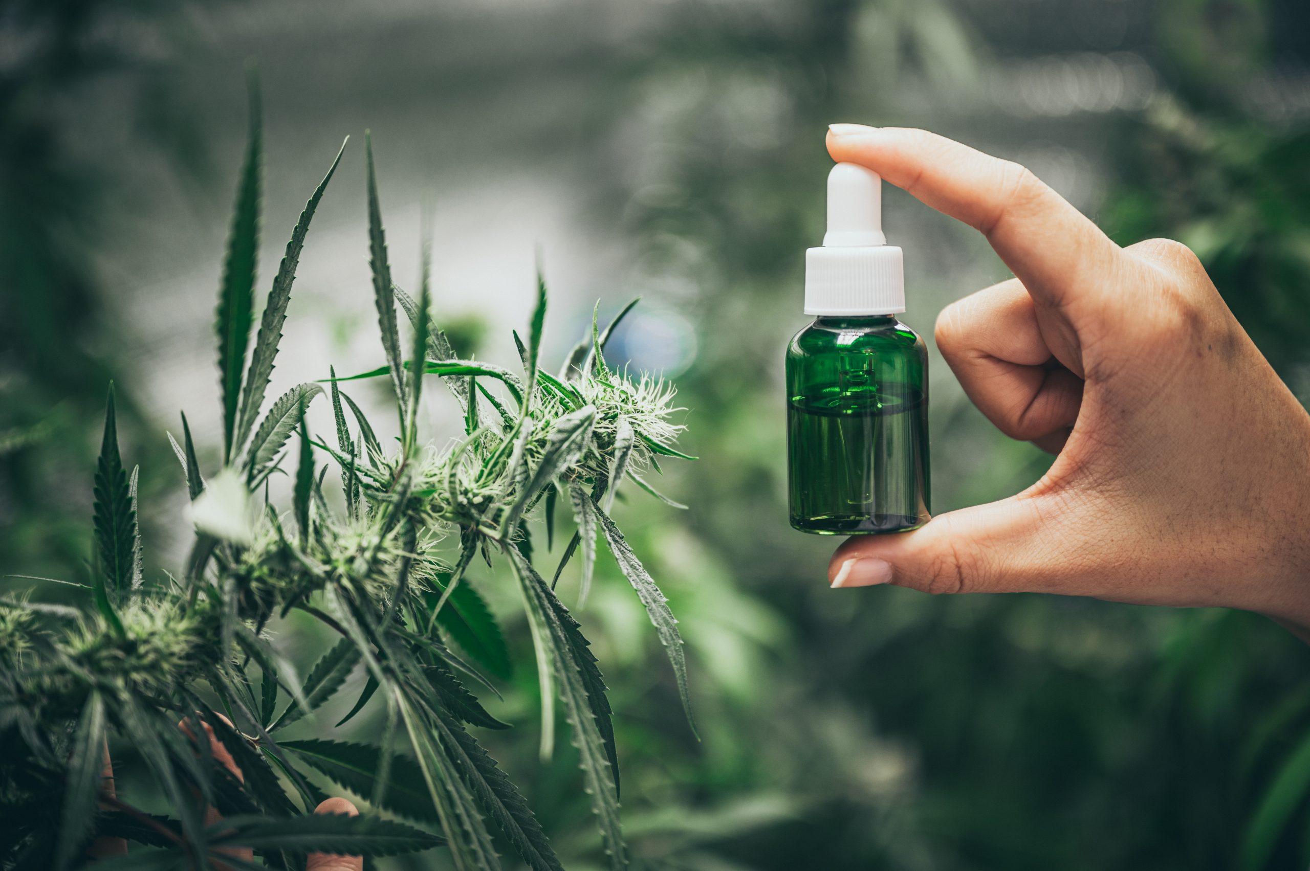 Comprehensive Guide on COPD and CBD Can CBD Help